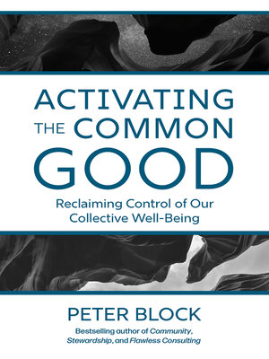 cover image of Activating the Common Good